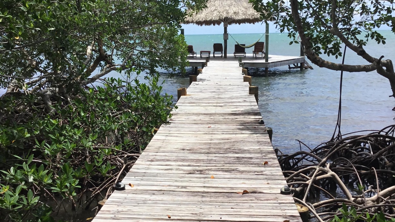 Photo of Outdoor in Placencia