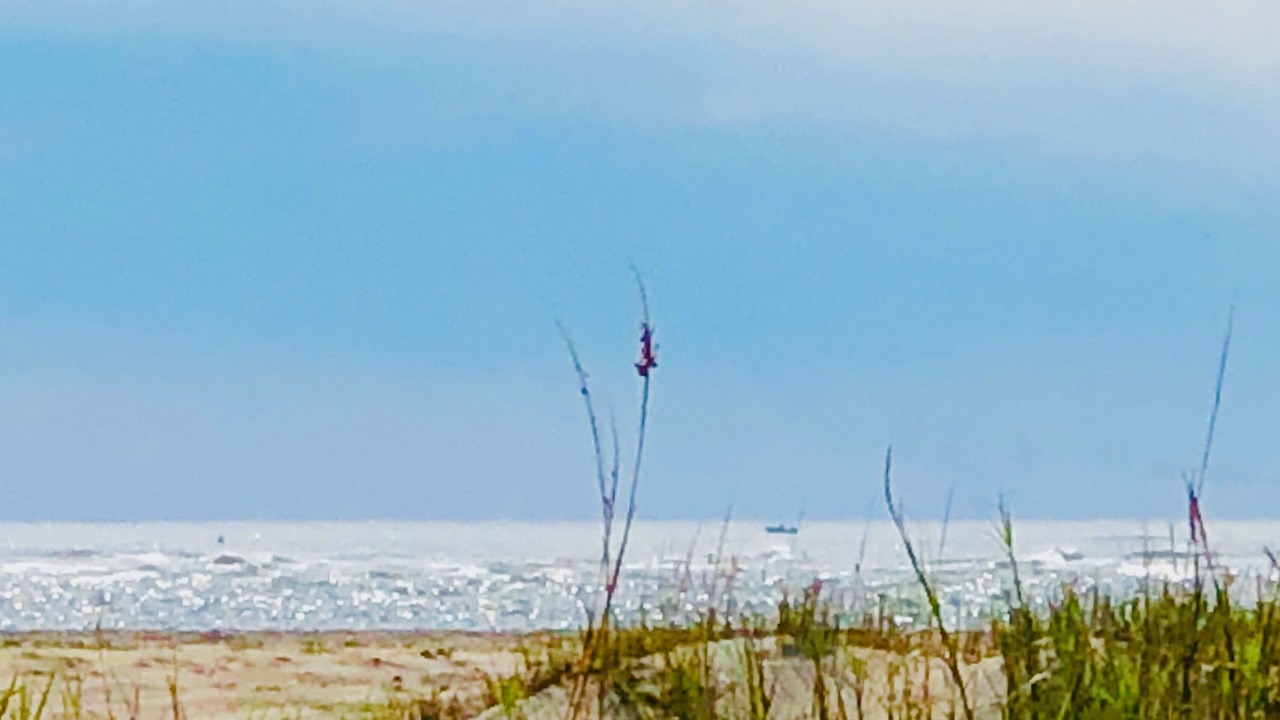 Photo of Others in The Point