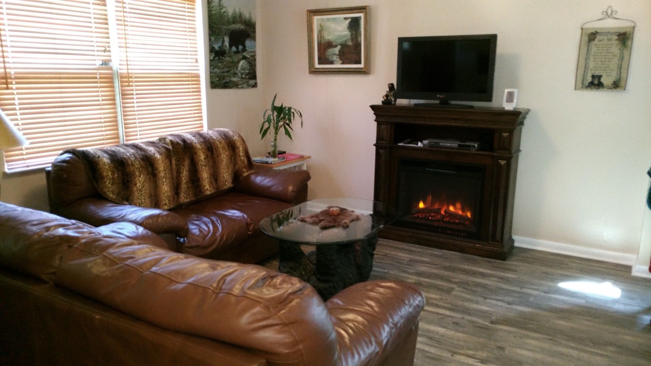 Photo of Livingroom in Balsam Grove