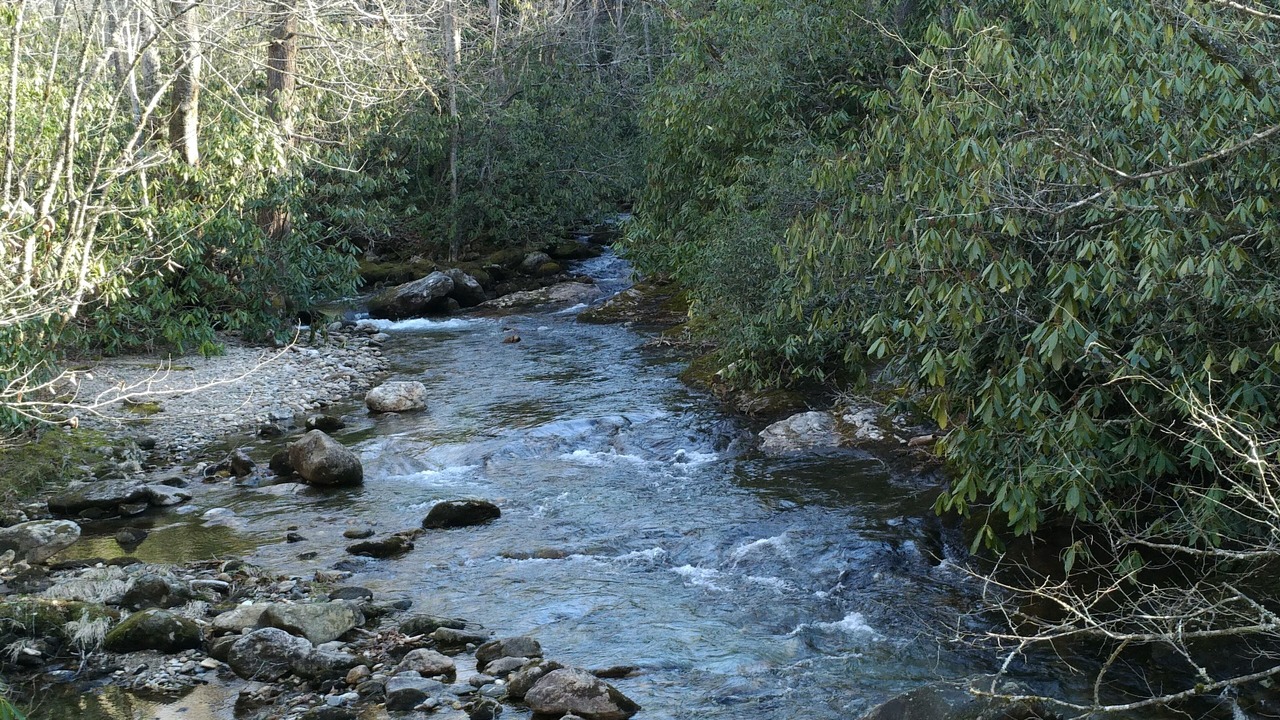 Photo of Others in Balsam Grove