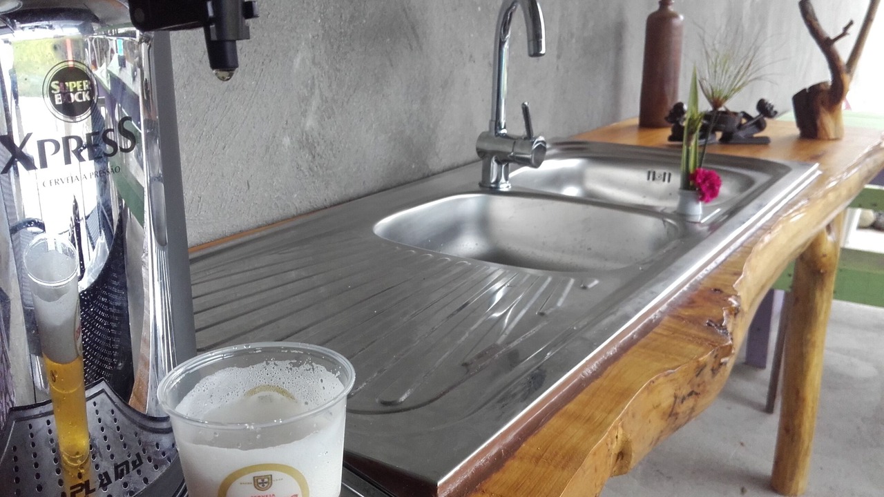 Photo of Kitchen in Biscoitos