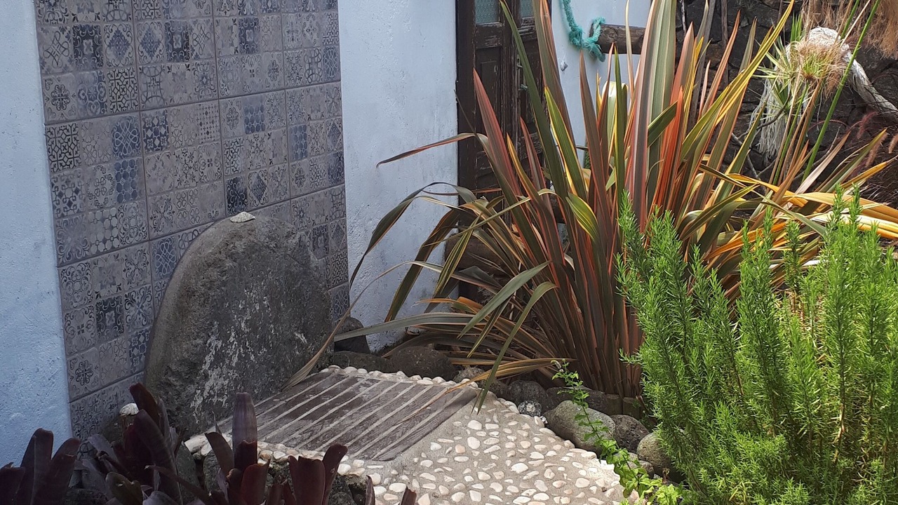 Photo of Outdoor in Biscoitos