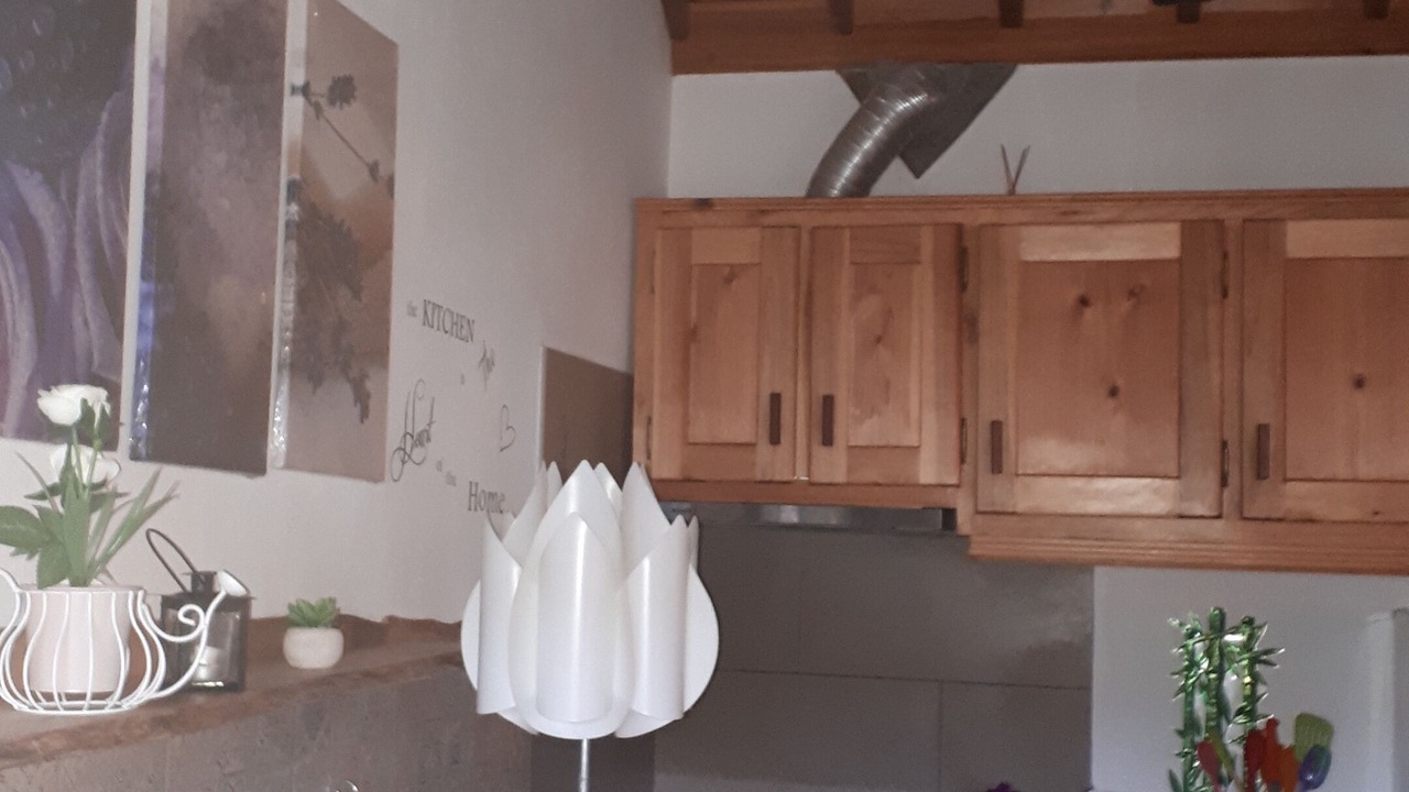 Photo of Kitchen in Biscoitos