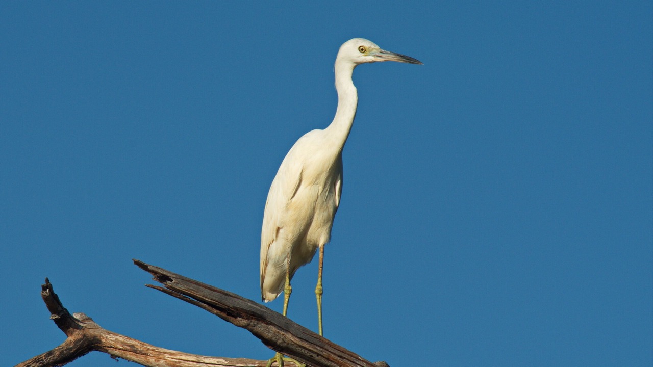 Photo of Others in Sittee Point