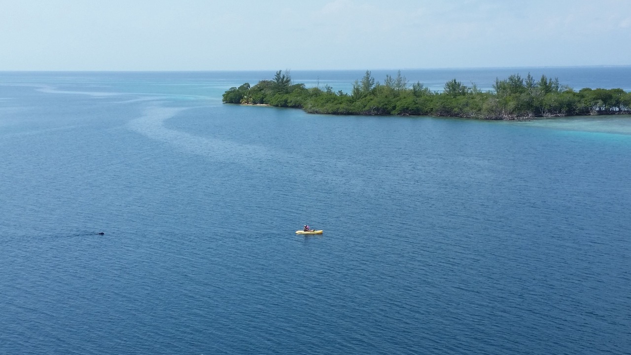 Photo of Others in Sittee Point