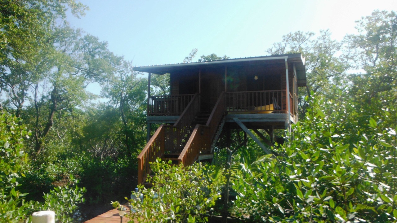 Photo of Outdoor in Sittee Point
