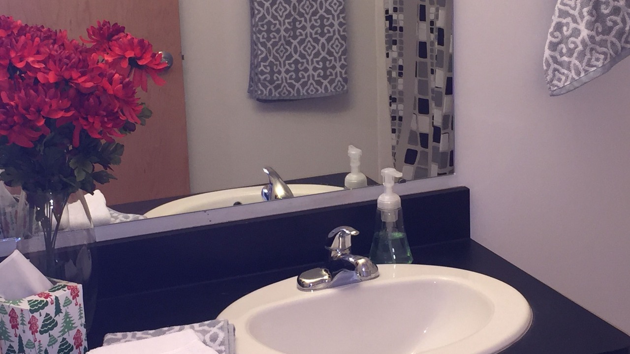 Photo of Bathroom in Dinkytown