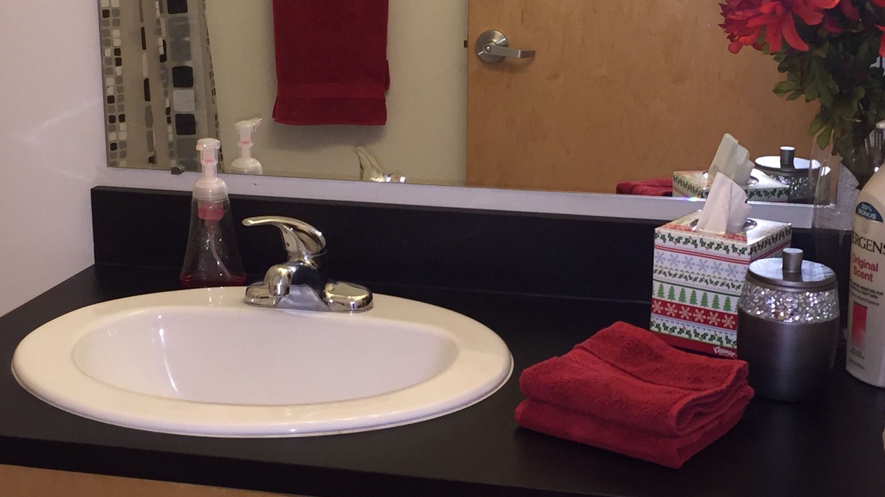 Photo of Bathroom in Dinkytown