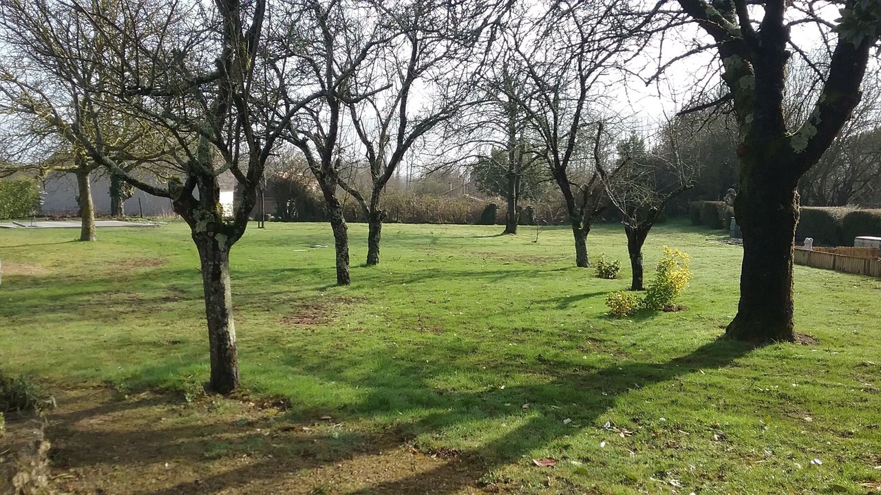 Photo of Outdoor in Liez