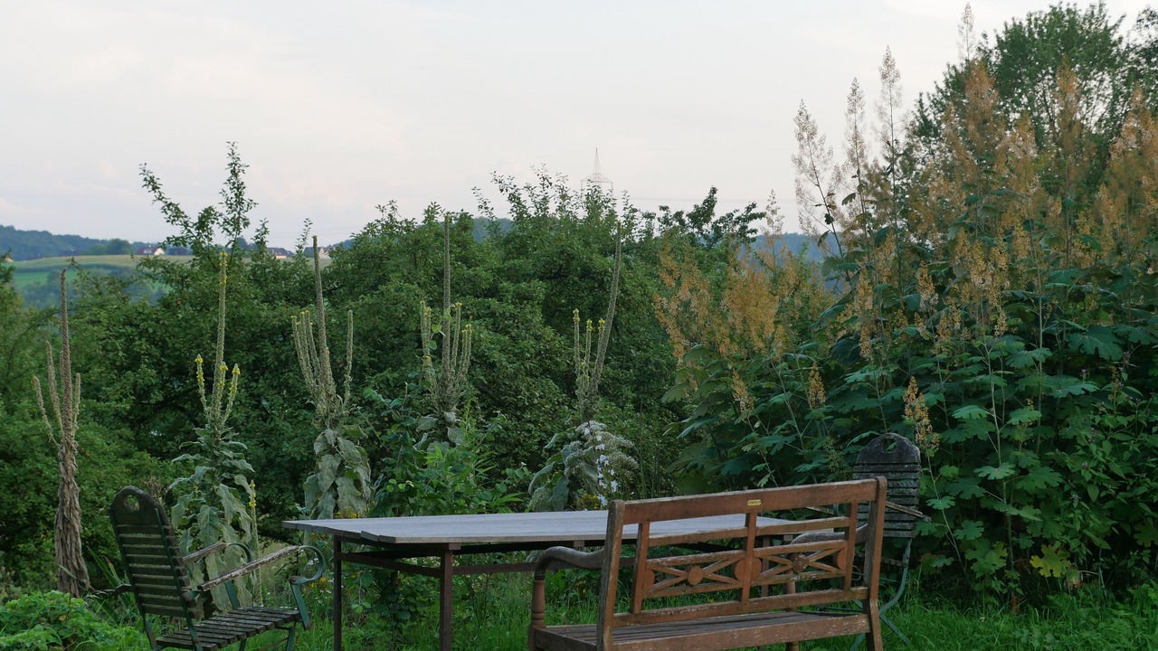 Photo of Outdoor in Rodt