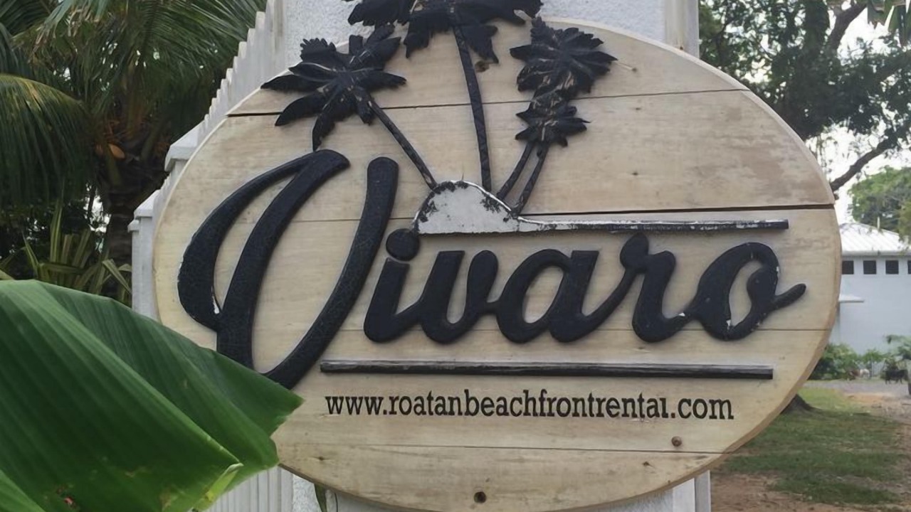 Photo of Outdoor in Antoneys Cay