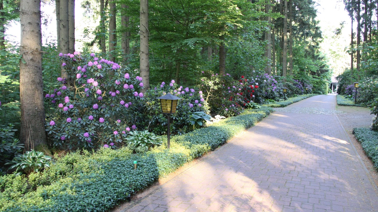 Photo of Outdoor in Bomlitz