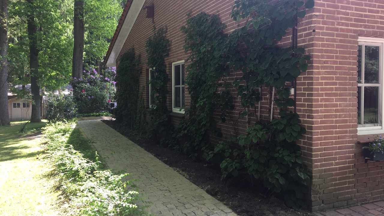 Photo of Outdoor in Bomlitz