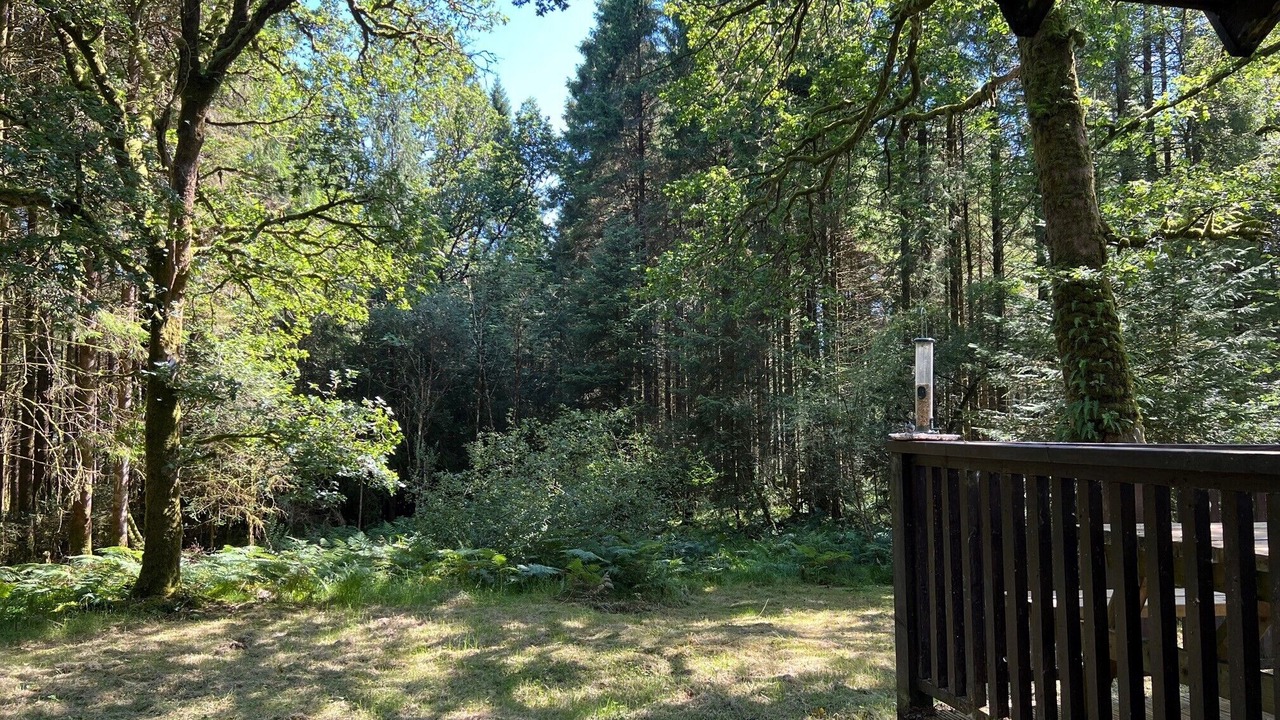 Photo of Outdoor in Taynuilt