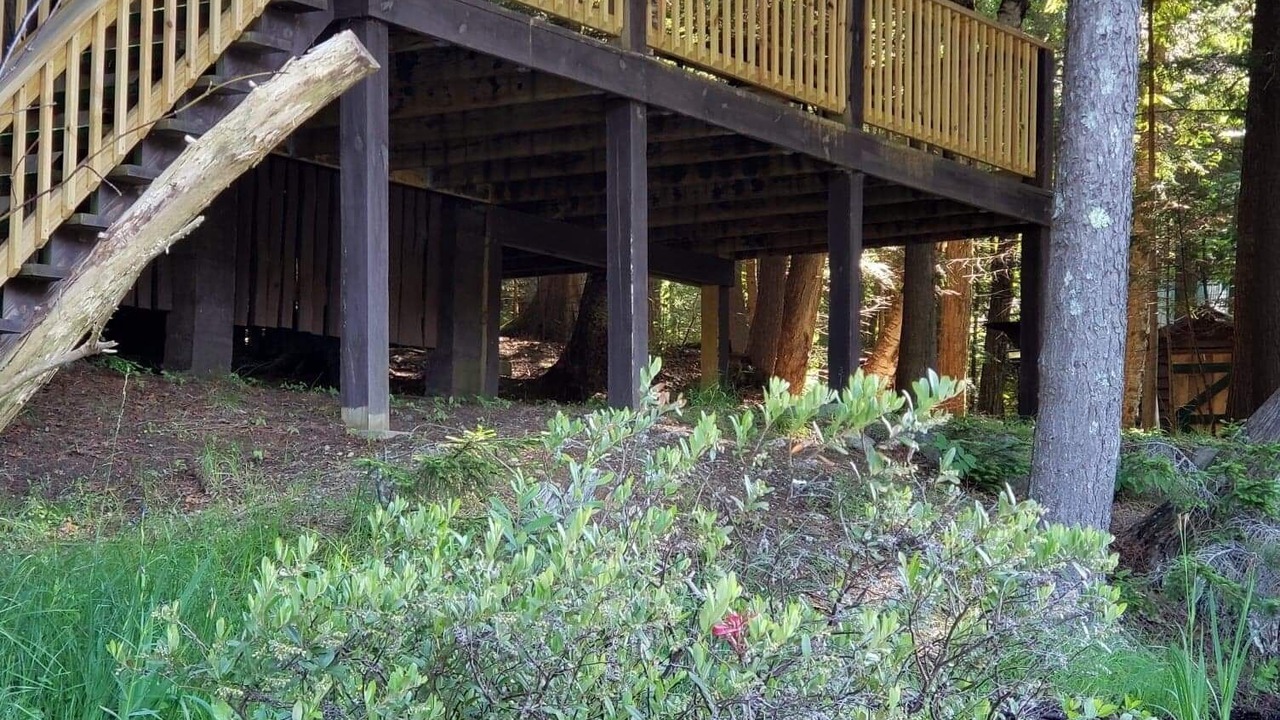 Photo of Outdoor in Saranac Lake