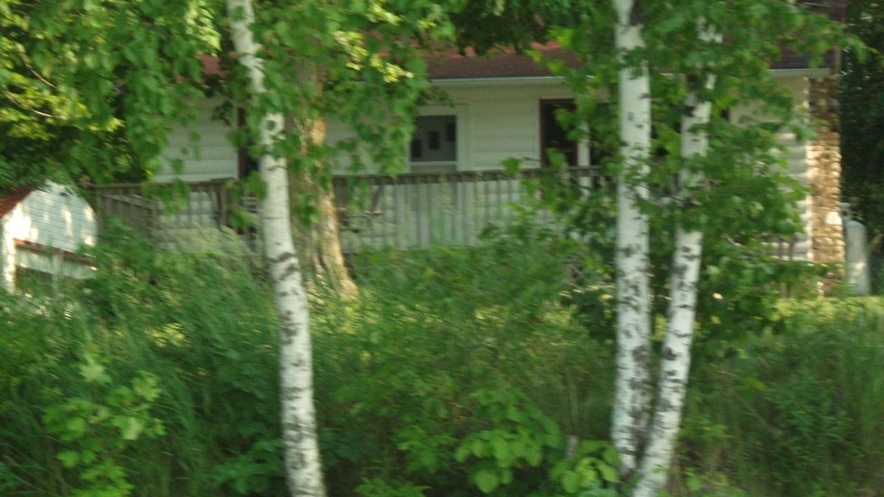 Photo of Outdoor in Parkers Prairie