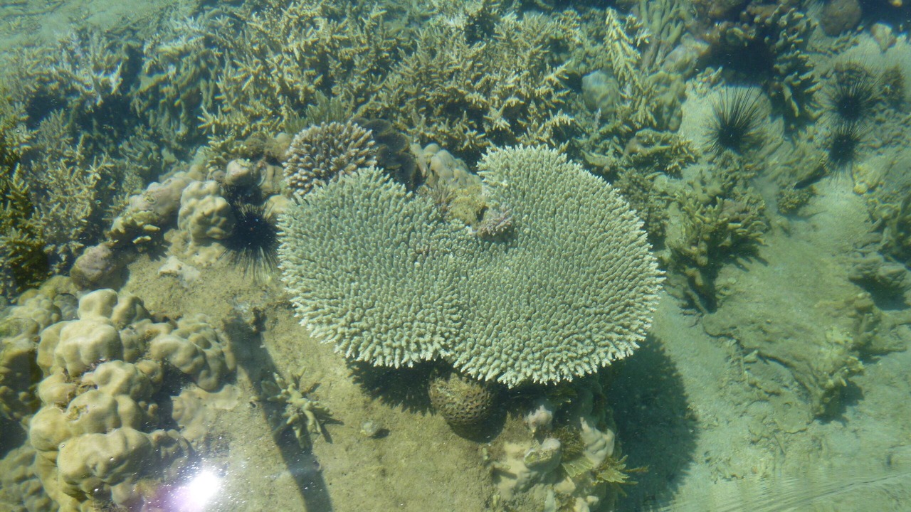 Photo of Outdoor in Nosy Komba