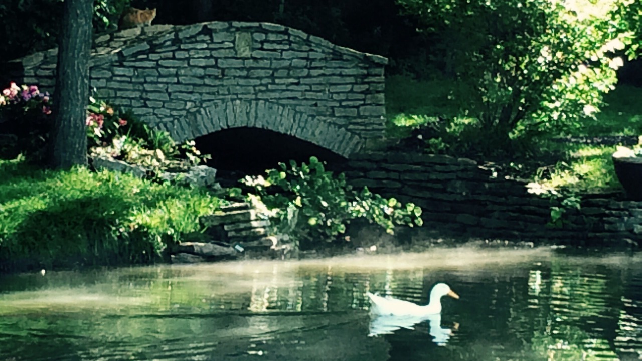 Photo of Outdoor in Bucyrus