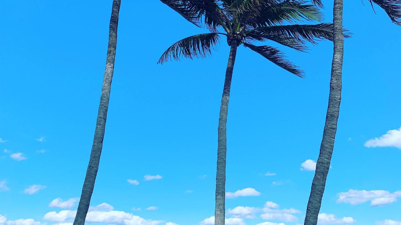 Photo of Others in Deerfield Beach