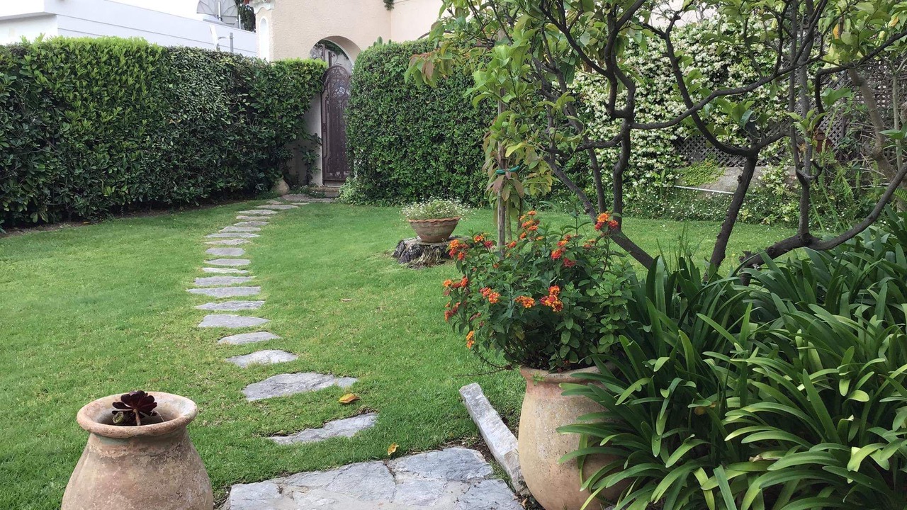 Photo of Outdoor in Saint-Jean-Cap-Ferrat
