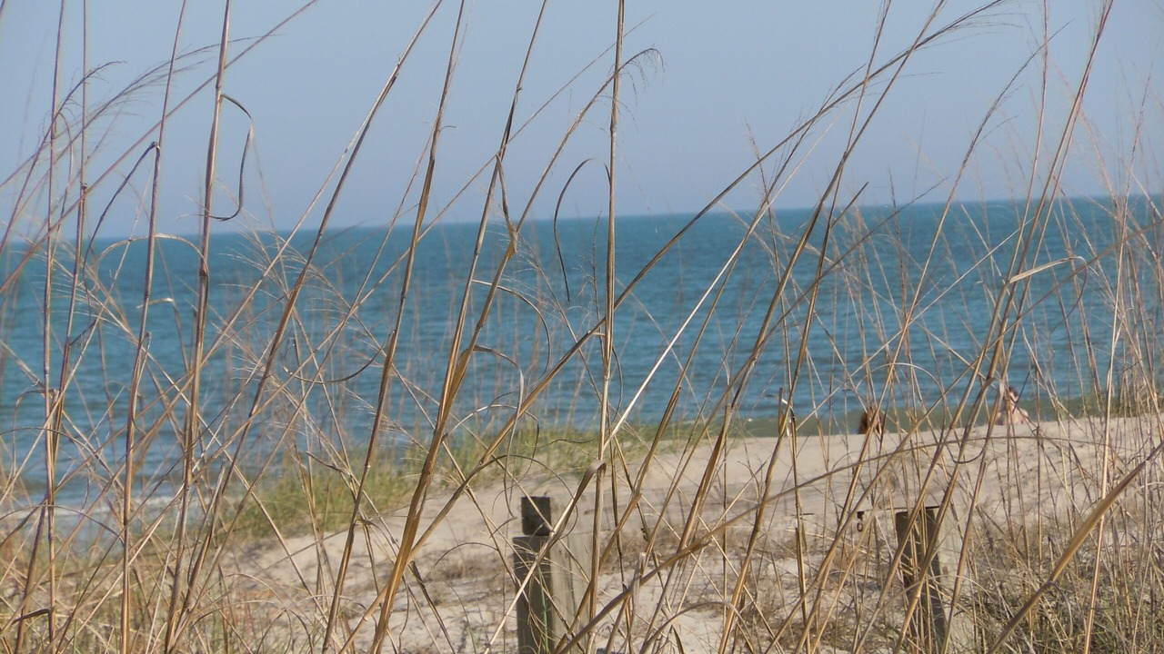 Photo of Others in Savannah Beach