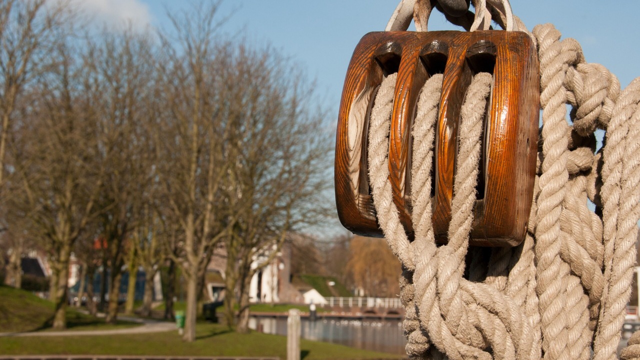 Photo of Others in Leiden
