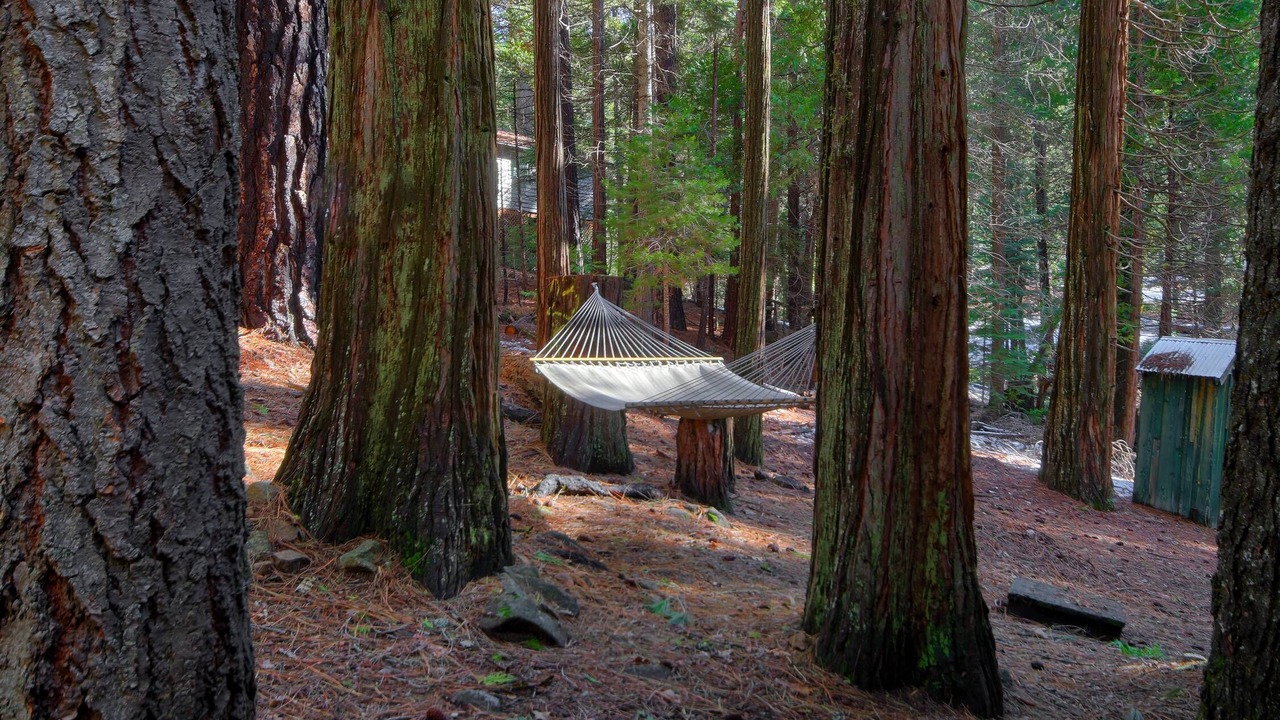 Photo of Others in North Wawona