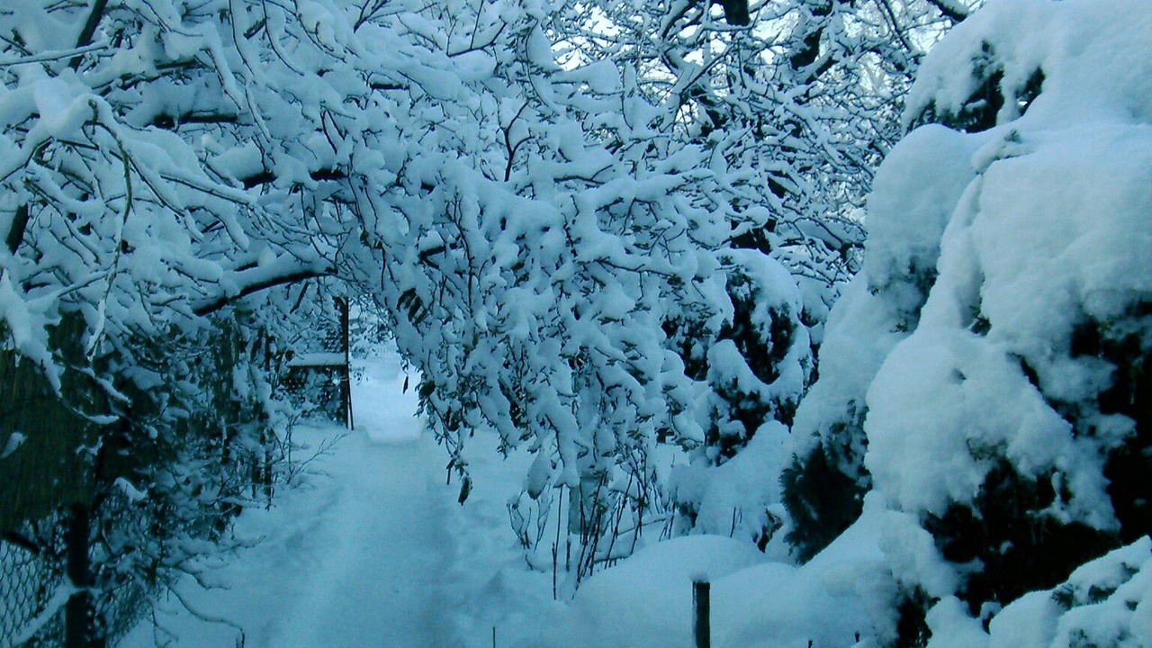 Photo of Outdoor in Wernigerode
