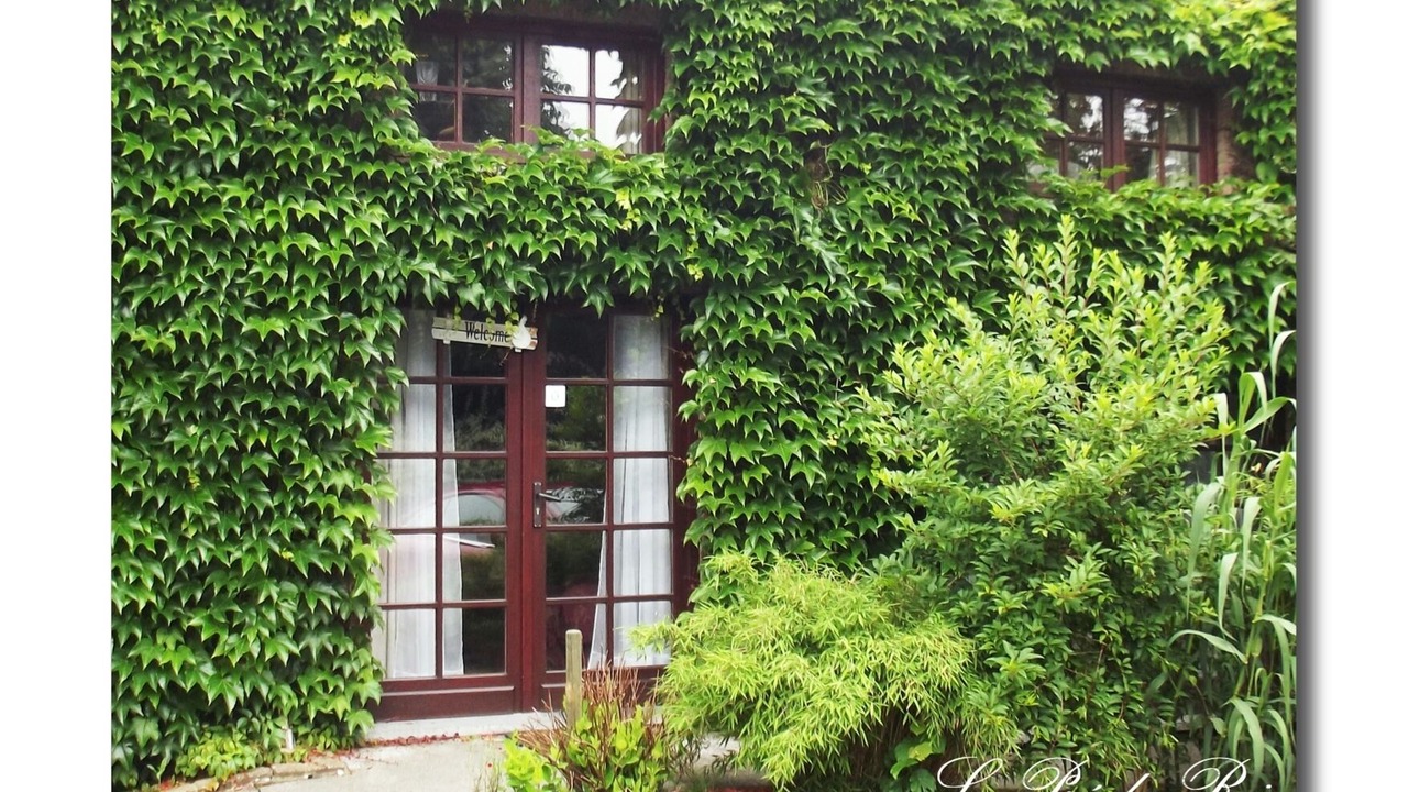 Photo of Outdoor in Morialme