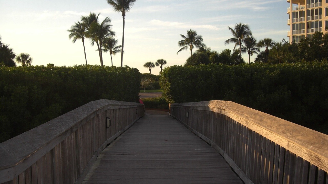 Photo of Others in Park Shore