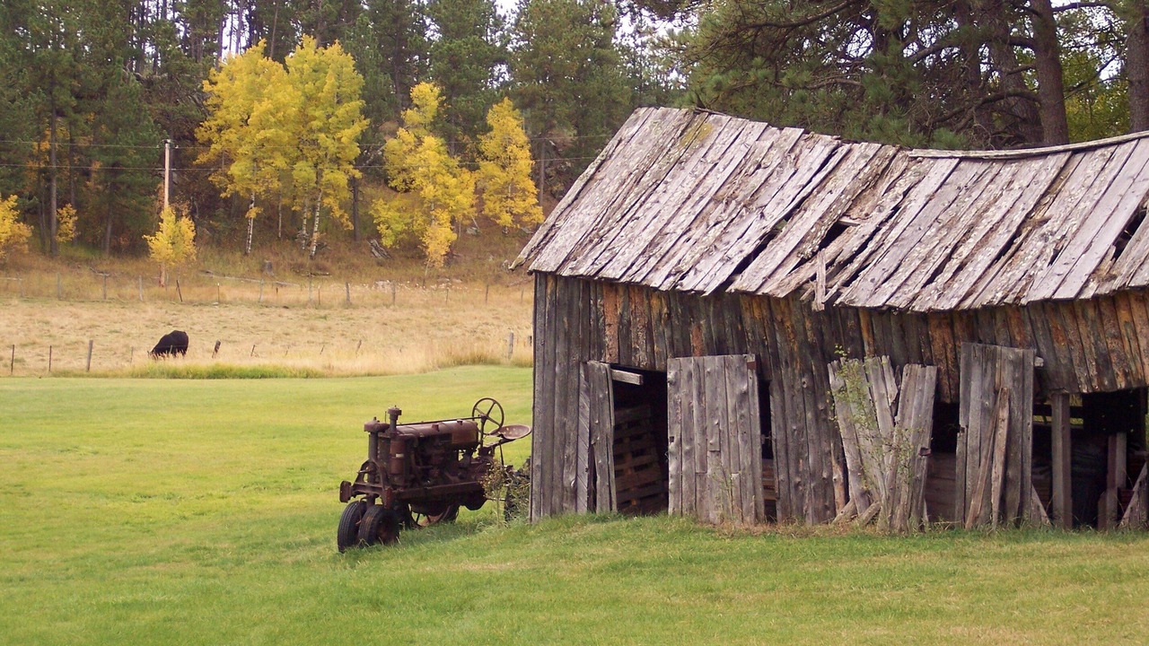 Photo of Others in Custer