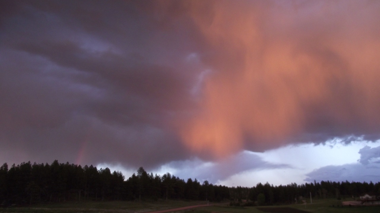 Photo of Others in Custer