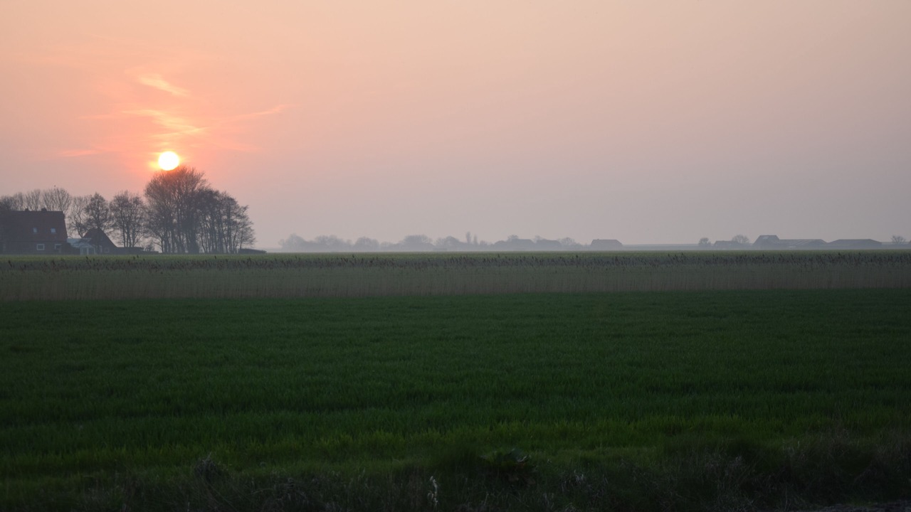 Photo of Others in Neßmersiel