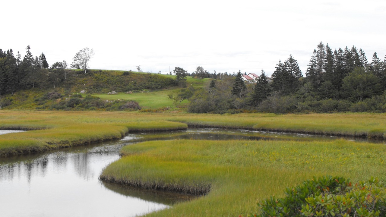 Photo of Others in Yarmouth County