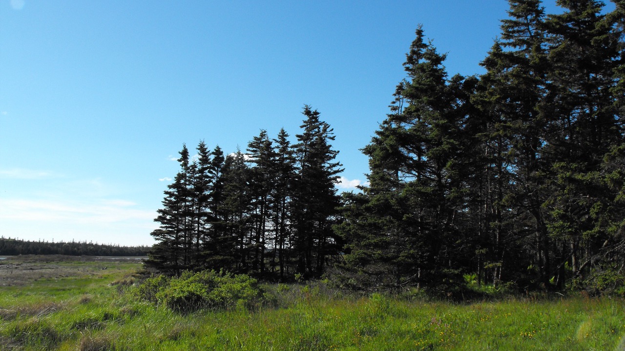 Photo of Outdoor in Yarmouth County