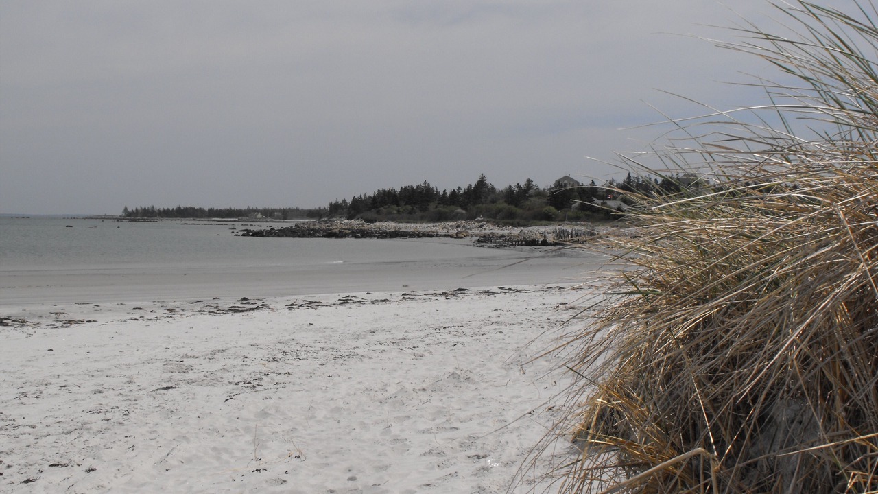 Photo of Others in Yarmouth County