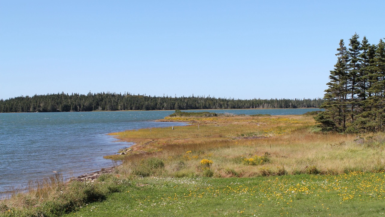 Photo of Others in Yarmouth County