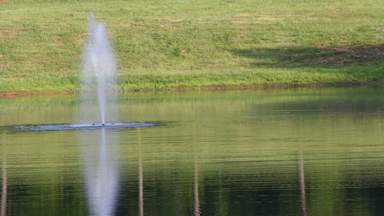 Photo of Outdoor in Dickson