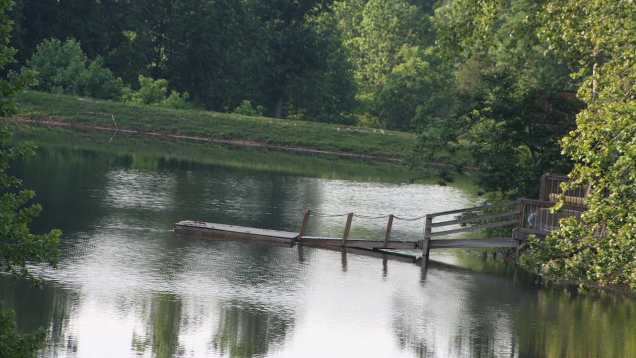 Photo of Outdoor in Dickson