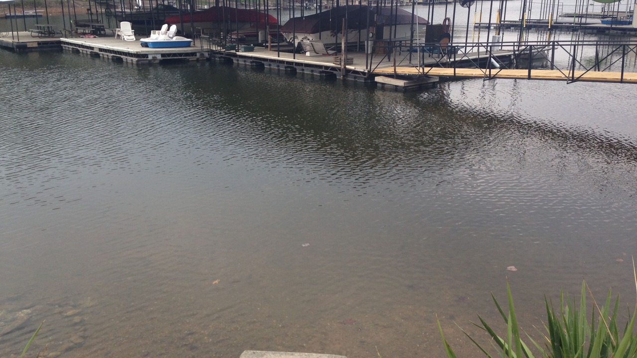 Photo of Others in Osage Beach