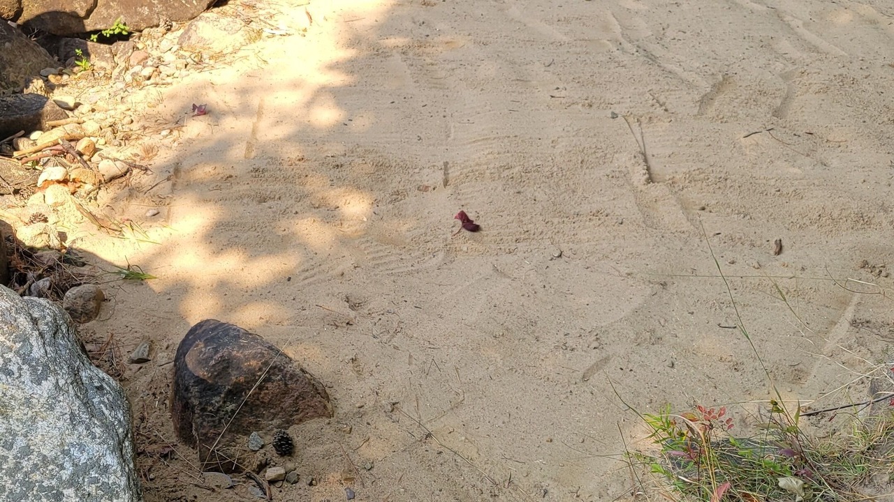 Photo of Outdoor in Dysart et al