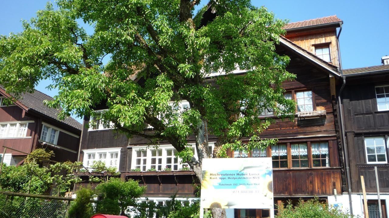 Photo of Others in Wienacht-Tobel
