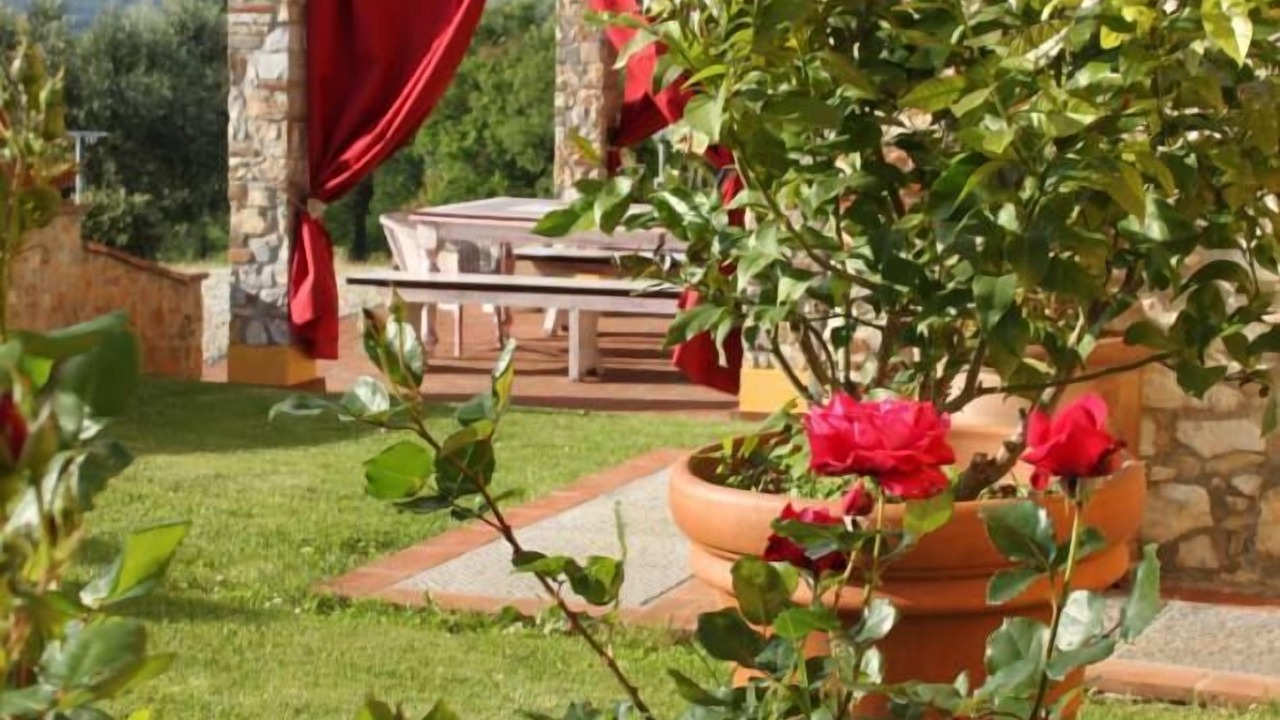 Photo of Outdoor in Vicopelago