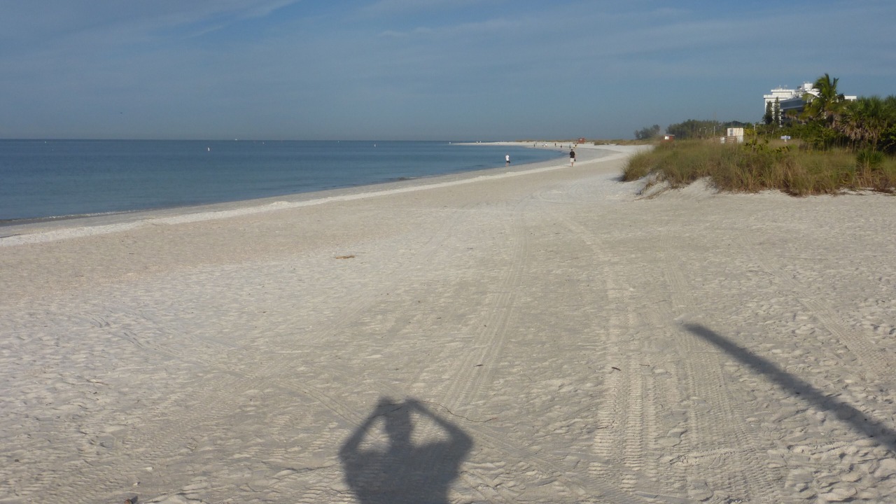 Photo of Others in Sarasota