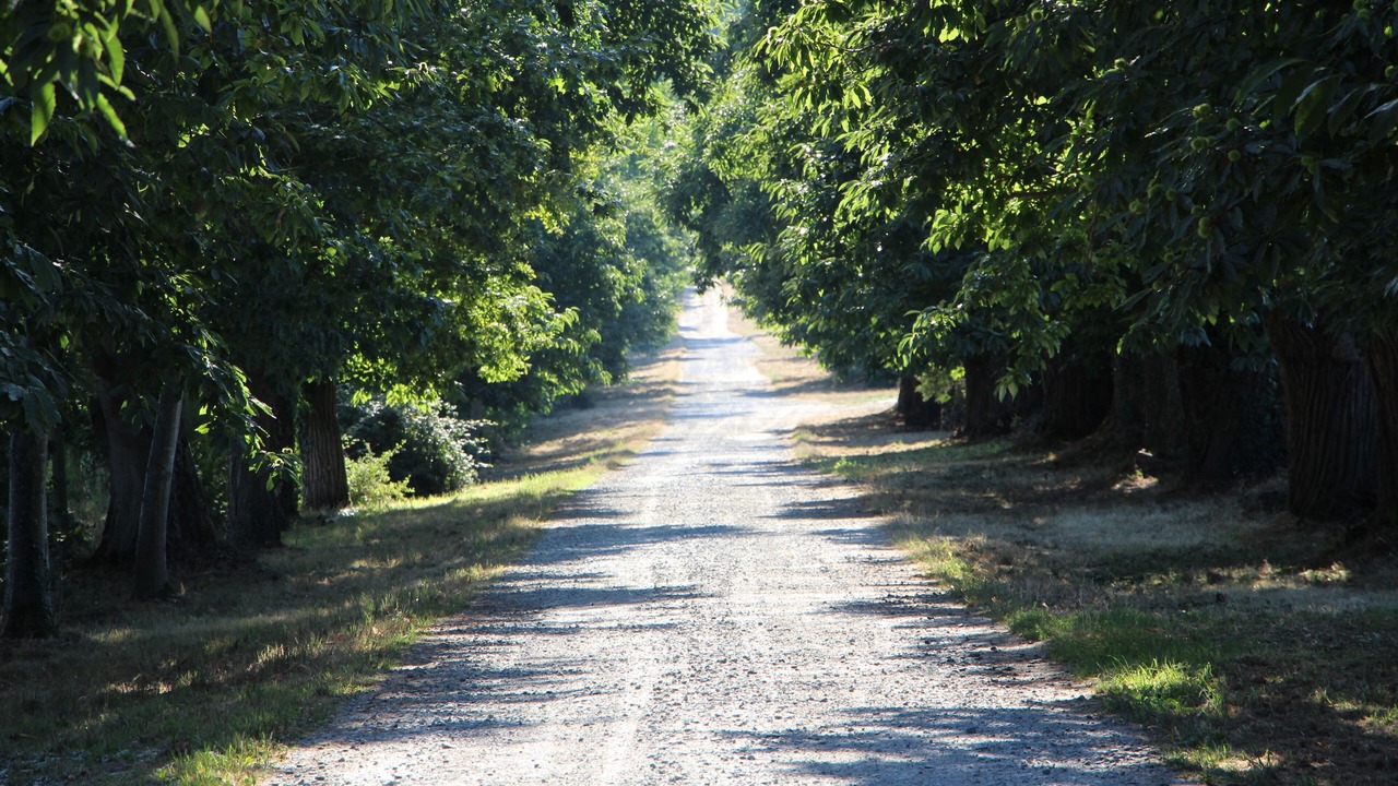 Photo of Outdoor in Nort-sur-Erdre