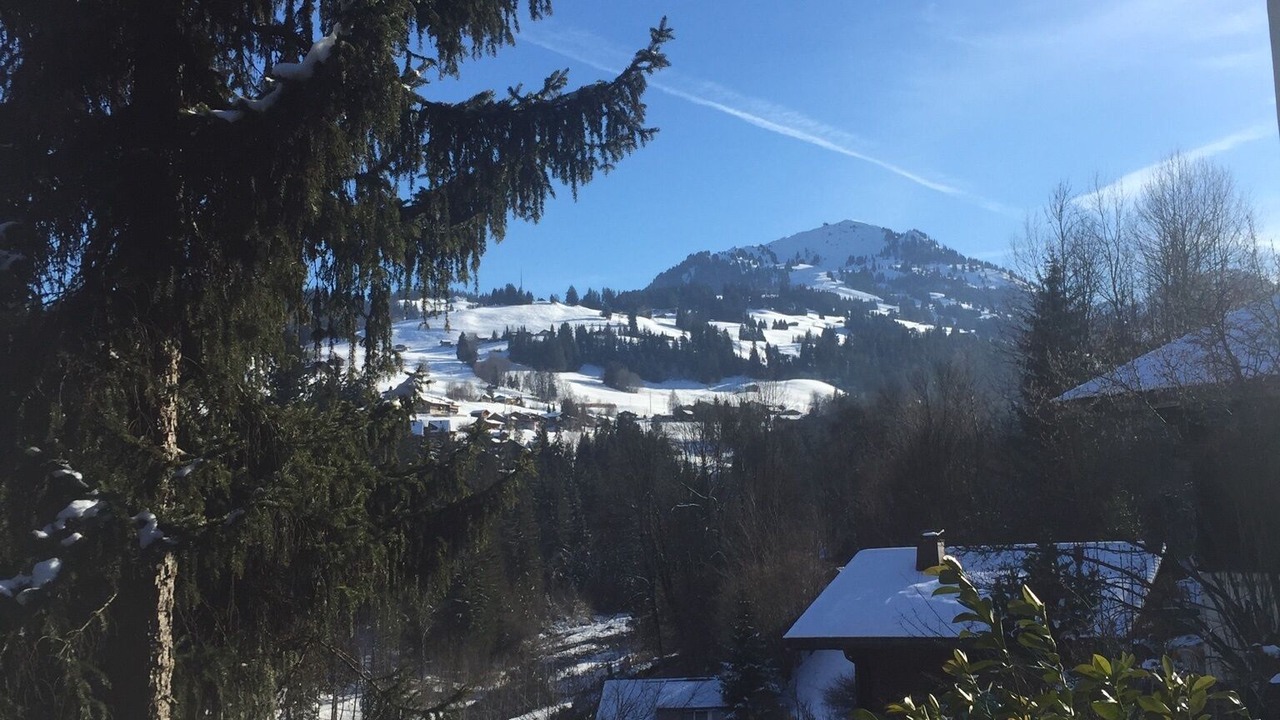 Photo of Others in Zweisimmen