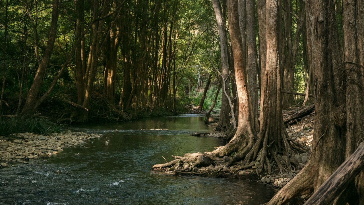 Photo of Others in Crystal Creek