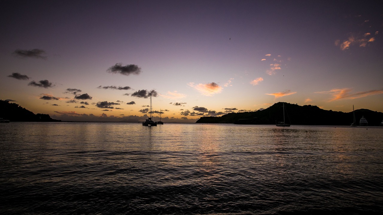 Photo of Others in Freemans Bay