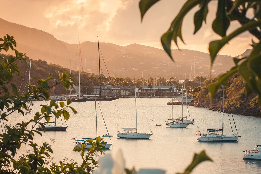 Photo of Others in Freemans Bay