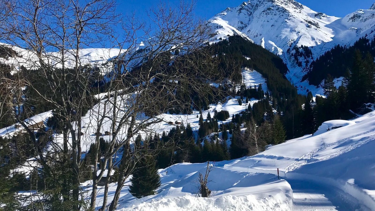 Photo of Others in Curaglia